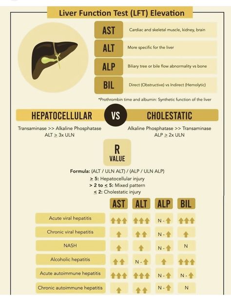 Nursing School Studying Cheat Sheets, Liver Function Test, Biochemistry Notes, Medical Assistant Student, Clinical Chemistry, Psychiatric Medications, Nursing School Essential, Medical Notes, Basic Anatomy And Physiology