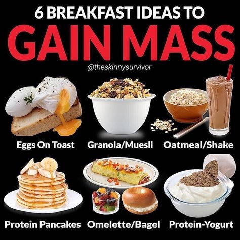 Oatmeal Protein Shake, Oatmeal Shake, Breakfast Snap, Healthy Weight Gain Foods, Food To Gain Muscle, Weight Gain Journey, Gain Mass, Weight Gain Diet, Yummy Healthy Breakfast