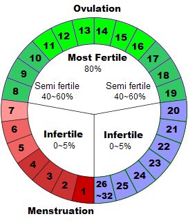 Fertile Days Chart, Safe Days In Menstrual Cycle, Period Chart, Menstrual Cycle Chart, Conceiving Tips, Cycle Chart, Fertility Cycle, Natural Birth Control, Birth Control Options