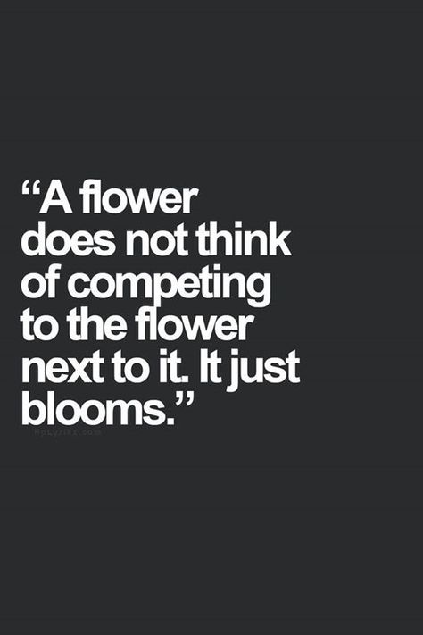 It just blooms.. #competition Food for thought... There is no point worrying about the competition! Yeah so fu(k you bitches Frases Tumblr, Yoga Exercises, E Card, Wonderful Words, Quotable Quotes, A Quote, The Words, Great Quotes, A Flower