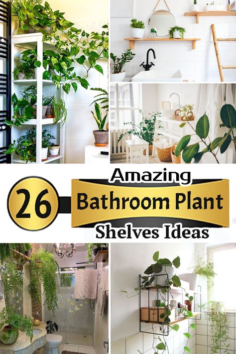 Want to introduce greenery to your restroom? Here are some stunning Bathroom Plant Shelves Ideas that you can use to upgrade your shower space! Bathroom Shelves With Plants, Bathroom Plants Shelf, Shower With Plant Shelf, Bathroom Shelves For Plants, Shower Shelf For Plants, Bathroom Window Plant Shelf, Spa Bathroom Plants Master Bath, Plants For Bathroom Decorating Ideas, Small Bathroom Plants Decor Ideas