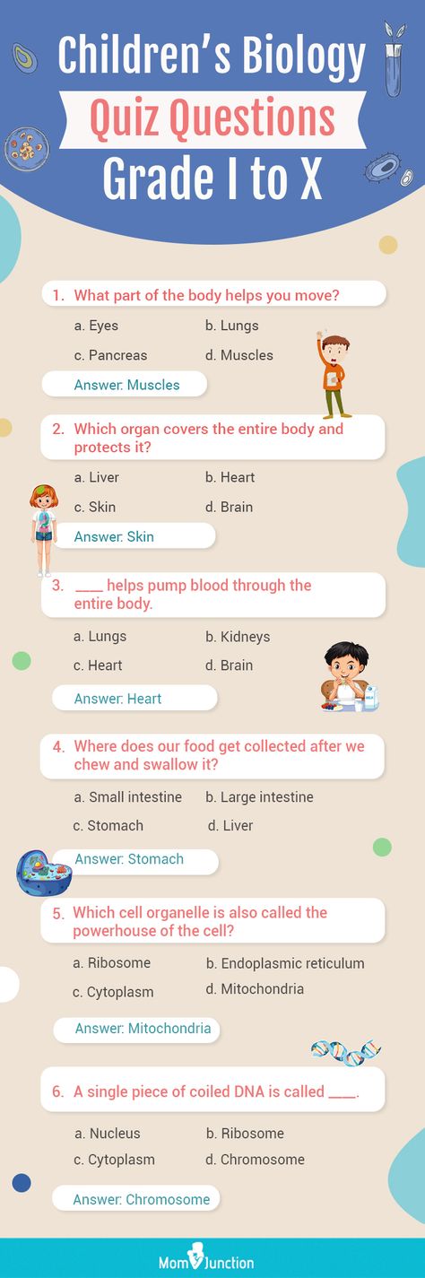 General Questions For Kids, Science Quiz For Grade 1, Gk For Grade 1, General Knowledge Quiz With Answers For Kids, Gk Questions For Class 1, Gk Worksheets For Grade 1, Science For Kids Worksheets, Gk Questions And Answers For Kids, Science Worksheets For Grade 1