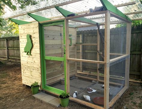 Pigeon Loft Ideas, Pet Pigeon Cage, Pigeon Coop Ideas, Pigeon House Ideas, Chicken Coop And Run Plans, Pigeon Aviary, Pigeon Coop, Pigeon Loft Design, Chicken Coop And Run