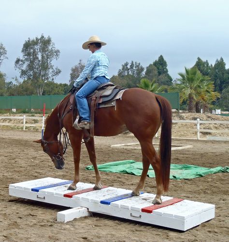 Obstacles For Horses, Horse Obstacle Course Ideas, Horse Obstacle Course, Obstacle Course Ideas, Horse Obstacles, Working Equitation, Trail Ideas, Trail Horse, Riding Arena