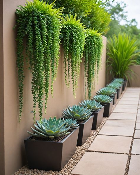 10 Succulents For Landscaping Fountain With Succulents, Desert Landscapes Front Yard, Raised Succulent Garden Bed, Modern Succulent Landscape Design, Succulent Landscape Design Backyards, Backyard Succulent Landscaping, Desert Oasis Backyard Landscaping Ideas, Clay Soil Landscaping, Az Landscaping Ideas Backyards