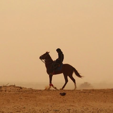 Nasir Ghameq, Arabian Desert Aesthetic, We Free The Stars, Twin Crowns, Sands Of Arawiya, Arabian Nights Aesthetic, We Hunt The Flame, Booktok Aesthetic, Desert Aesthetic