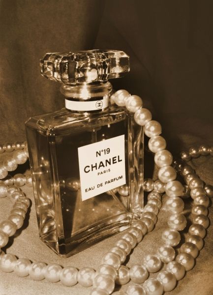 Chanel Perfume, Perfume Bottle, Coco Chanel, Old Money, My Aesthetic, Scents, Coco, Perfume Bottles, Mood Board