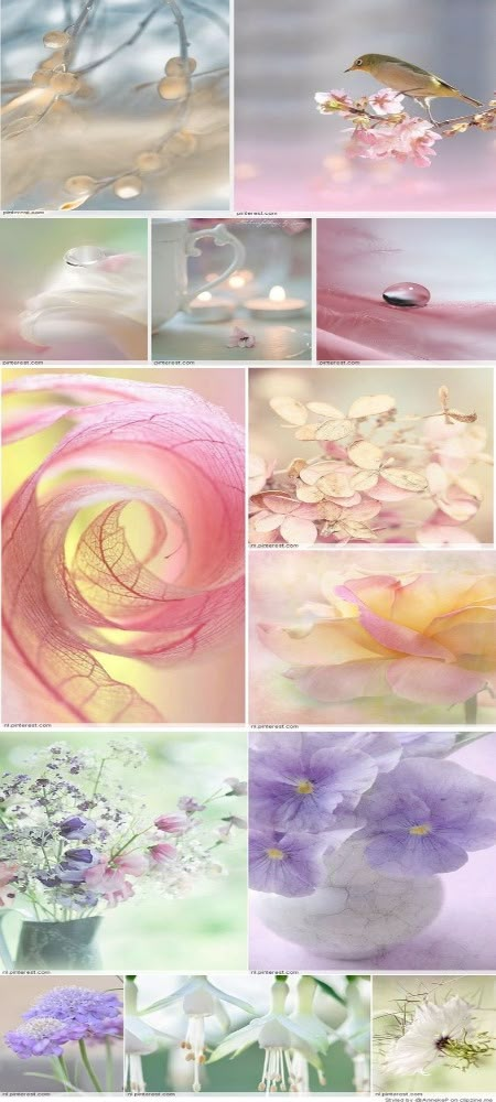 Colors Moodboard, Bokeh Images, Bokeh Photography, Mood Colors, Color Collage, Color Boards, Beautiful Collage, Pastel Colour Palette, Bright Pastels