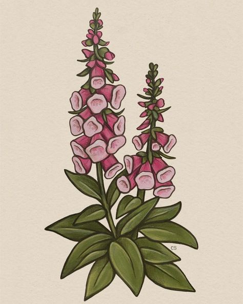 Carley Beth on Instagram: “Foxglove ✨ . . . .…” Foxglove Drawing Simple, Foxglove Flower Drawing, Foxglove Sketch, Fox Gloves Flower, Foxglove Drawing, Foxglove Art, Foxglove Illustration, Foxglove Tattoo, Flowers Lockscreen