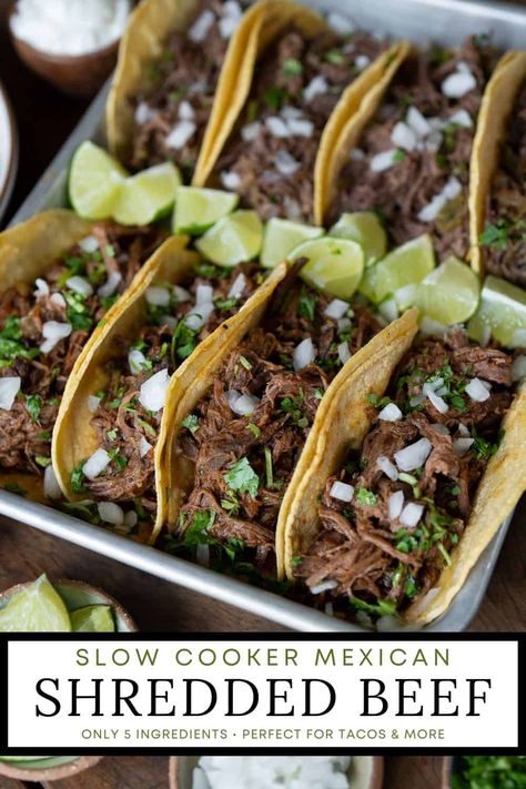 Learn how to make slow cooker shredded beef with this super easy 5-ingredient Mexican shredded beef recipe. It’s perfect for tacos, burrito bowls, nachos, and more. Lean beef shoulder roast is slow cooked in a spicy tomato sauce until it’s fall apart tender. Smoked Pulled Beef, Pulled Beef Tacos, Slow Cooker Mexican Shredded Beef, Slow Cooker Beef Tacos, Chuck Roast Crock Pot Recipes, Beef Shoulder Roast, Beef Shoulder, Beef Shank Recipe, Slow Cooker Shredded Beef