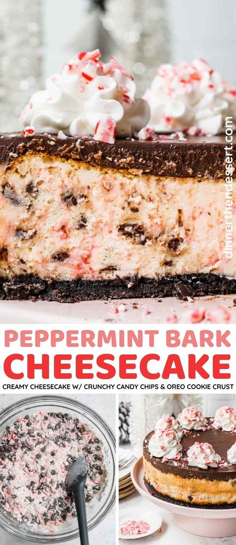 Peppermint Bark Cheesecake, Christmas Cheesecake, Peppermint Cheesecake, Oreo Cookie Crust, Rich Desserts, Mouthwatering Recipes, Peppermint Bark, Mini Cheesecakes, Creamy Cheesecake