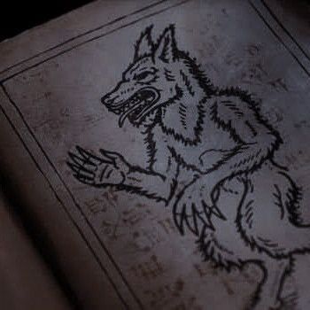 Werewolf Aesthetic, Love Show, Twilight Photos, Twilight Pictures, Yennefer Of Vengerberg, Remus Lupin, A Wolf, Fantasy Aesthetic, The Twilight Saga