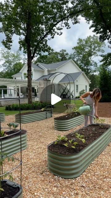 Lacey Karasik 🌿Home Decor on Instagram: "Comment ‘Vego’ for links to these amazing @vego_garden beds! 
.
I love these raised garden beds for multiple reasons! Not only are they gorgeous to look at but they’re raised off the grown 17” for optimal root health AND to keep those pesky bugs to a minimum. There are 9 different configurations you can choose from with this kit; I chose to build  6 2x8 beds in olive green! The beds take about 40 minutes to construct and are made from anti-rust recycled metals (no aluminum!) 
.
#gardenbed #gardenbeds #garden #gardeninspo #gardendesign #gardendecor #gardenlove #gardentools #gardenmusthaves #vegogarden #vegogardening #vegetablegarden #vegetablegardening #starberrypatch #landscaping #landscape #flowerbed #backyardinspo #veggiegarden #veggiepatch #vege Iron Raised Garden Beds, Corrugated Iron Garden Beds, Raised Garden Beds Gravel, Galvanized Raised Garden Beds Layout, Raised Metal Garden Beds Layout, Galvanized Garden Beds Layout, Metal Raised Garden Beds Layout Design, Vego Garden Beds, Black Raised Garden Beds