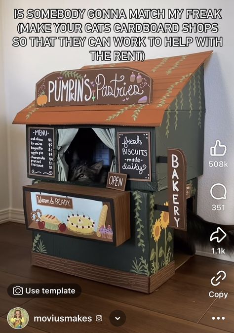 Cat House Box Cardboard, Cardboard Cat House Ideas, Diy Pet Stuff, Diy Outside Cat House, Diy Cat House Cardboard, Cardboard Box Cat House Diy, Cat Cardboard Box Ideas, Cardboard Dog House, Cat House Diy Cardboard