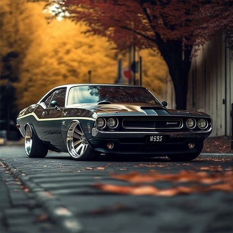 Muscle Cars on Instagram: "#dodge #challenger _ #Classic #classics #Classiccar #classiccars #americanmuscle #Musclecar #Musclecars #car #cars" Plymouth Road Runner, Premier Lig, Plymouth Duster, Old Muscle Cars, Car Quotes, Dodge Muscle Cars, Ford Mustang Car, Aesthetic Car, Mopar Muscle Cars