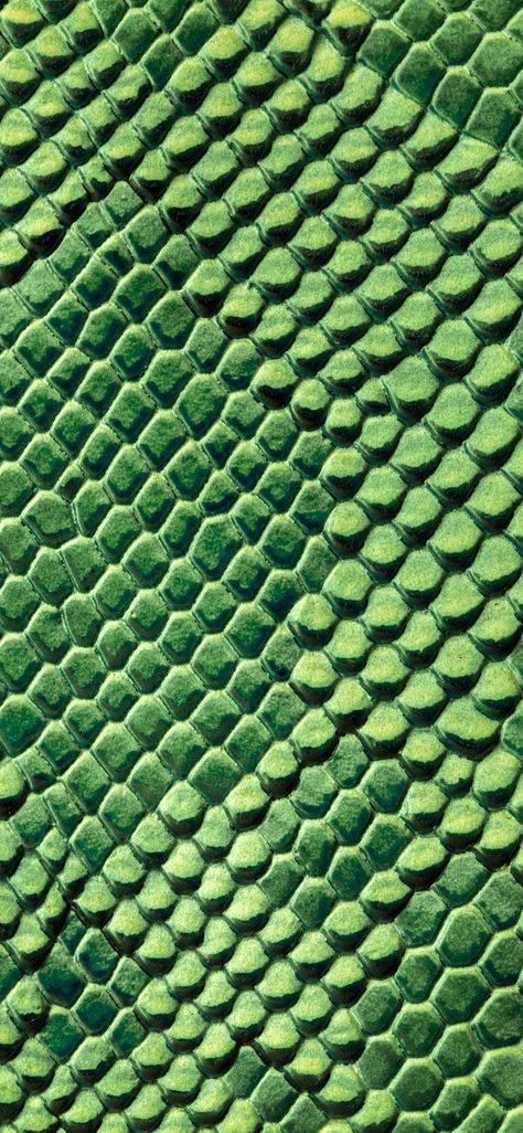 Druid Wallpaper, Lizard Texture, Awesome Backgrounds, Snake Scales, Snake Wallpaper, Stylish Wallpaper, Dragon Skin, Reptile Skin, Wallpapers For Iphone