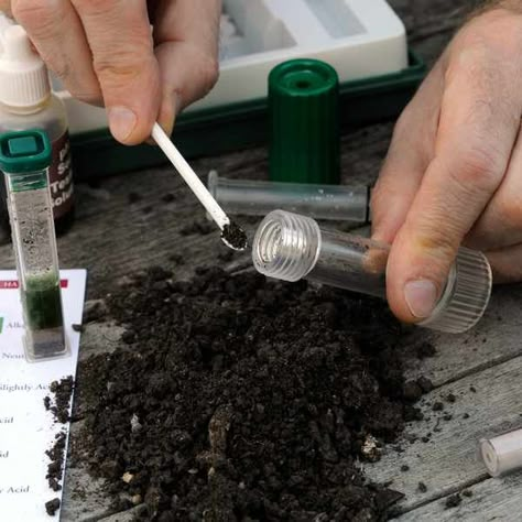 How to test your soil pH Plant Chemistry, Agriculture Students, Soil Ph Test, Ideas Para El Jardin, Soil Science, Garden Prepping, Plant Tissue, Wood Chipper, Soil Testing