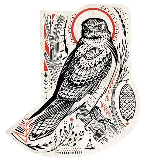 David Hale: David Hale Tattoo, Hawk Illustration, Falcon Tattoo, David Hale, Hawk Tattoo, Art Emotions, Raven Tattoo, Japanese Sleeve Tattoos, Hummingbird Tattoo