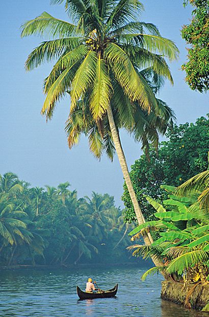 Backwaters Of Kerala, Kat Diy, Kerala Backwaters, Kerala Travel, Bali Lombok, God's Own Country, Travel India, Kerala India, Tourist Places