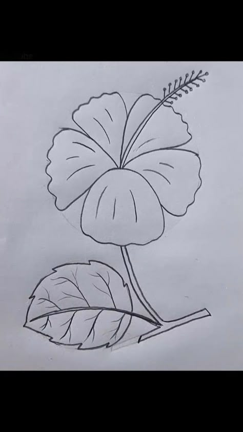 Instagram Flower Tracing Designs, Pencil Sketch Flowers Simple, Outlined Flower Painting, Flower Outline Drawing Aesthetic, Pencil Shading Flowers Easy, Flower Drawing For Aari Work, Flower Drawings With Color, Arts Picture, Quick Drawings