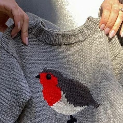 KNITTING FOR OLIVE on Instagram: "A beautiful bright Robin version of our Bird Sweater knitted by @clairemadeit. We’ve heard from so many of you that your children love the sweater, as they recognize the birds from their gardens and everyday lives. And we love that! Unicorns and dinosaurs are great, and so are local birds 🫶🏼🐦 #birdsweater #fuglesweater #knitting #knit #strik #strikk #barnestrikk #knitforkids #nevernotknitting #knitityourself #knittersofinstagram #knittersoftheworld #knitstagram #knittingforolive" Robin Knitting Chart, Bird Sweater, Knitting For Olive, Bird Dress, Red Robin, Knitting Charts, The Birds, Knitting Projects, Instagram A