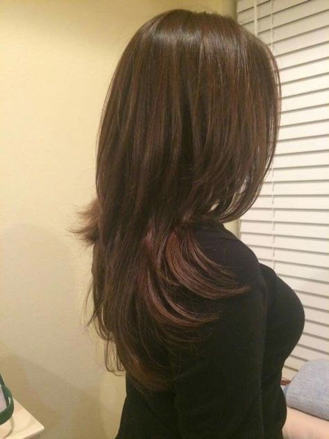 Rambut Brunette, Layered Haircuts For Medium Hair, Hair Inspiration Long, Haircut Inspo, Extension Hair, Hairstyles For Layered Hair, Haircut Inspiration, Hair Stylies, Haircuts Straight Hair