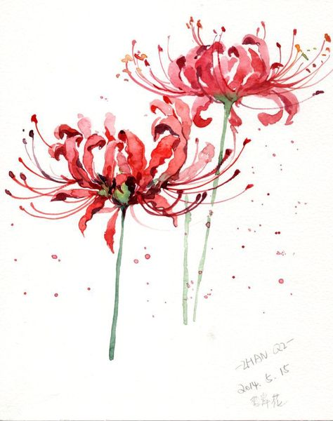 Spider Lady, Lycoris Radiata, Red Spider Lily, Spider Lily, Red Spider, Watercolor Flowers Tutorial, Flowers Tutorial, Abstract Floral Art, Painting Art Projects