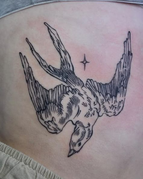 American Traditional Tattoo Ideas, Sparrow Tattoo, Traditional Tattoo Ideas, Funky Tattoos, Female Tattoo Artists, Stomach Tattoos, Bird Tattoo, American Traditional Tattoo, Birds Tattoo