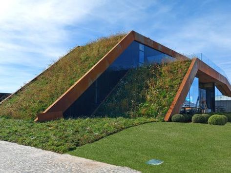 Green Roof Planting, Fachada Exterior, Roof Plants, Green Roof Design, Green Roof House, Green Roof Building, Green Roof System, Zoo Inspiration, Grass Roof