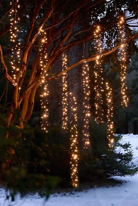 Unique Lamp Shades & Lighting | Anthropologie Porch Eaves, Twinkling Tree, Cascade Lights, Outdoor Trees, Sparkling Lights, Outdoor Christmas Lights, Unique Lamps, Tree Lighting, Tree Branch