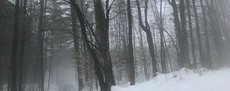 Snowy Discord Banner, Winter Aesthetic Banner, Winter Banner Discord, White Banners Discord, Forest Header, Winter Header, White Discord Banner, Snow Banner, 트위터 헤더