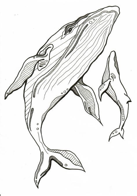 Whale Pen Drawing, Whale Drawing Illustrations, Whale And Calf Tattoo, Whale Drawing Simple, Drawing A Whale, Whale Line Drawing, Sea Animal Sketches, Ocean Life Drawings, Ocean Animal Drawings