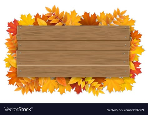 Autumn Tree Branch, Branch Vector, Leaves Vector, Borders And Frames, Floral Poster, Flower Background Wallpaper, Maple Tree, Photoshop Backgrounds, Photo Art Gallery