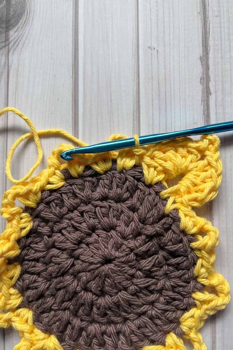 Sunflower Coaster Crochet Pattern - thecaffeinatedsnail.com Free Sunflower Coaster Crochet Pattern, Sunflower Crochet Coaster Pattern, Sunflower Crochet Coasters Free Pattern, Crochet Sunflower Coasters Free Pattern, Sunflower Coasters Crochet Free Pattern, Crochet Sunflower Pattern Free, Crochet Sunflower Coaster Pattern, Sunflower Coaster Crochet, Crochet Sunflower Coaster