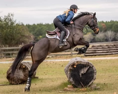 Cross Country Jumping, Equestrian Cross Country, Cross Country Jumps Equestrian, Cross Country Horses, Horse Cross Country, Horse Eventing, Jumping Pictures, Cross Country Jumps, Jumping Horses