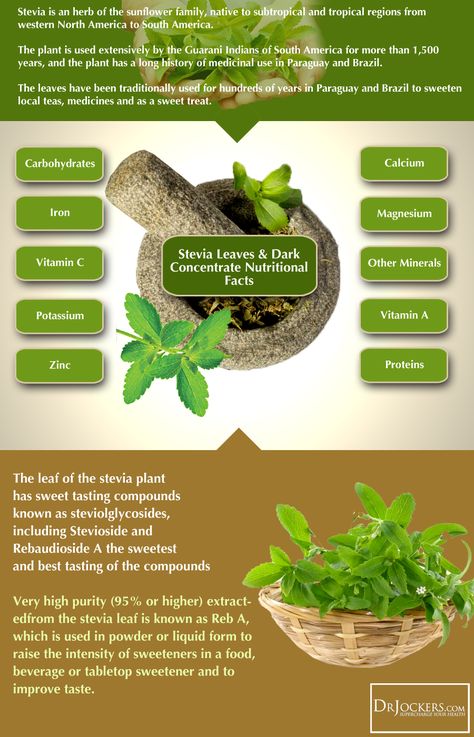 Stevia Benefits, Moringa Benefits, Stevia Plant, Ketogenic Diet Meal Plan, Herbal Tea Blends, Glycemic Index, Herbs For Health, Low Glycemic, Edible Plants