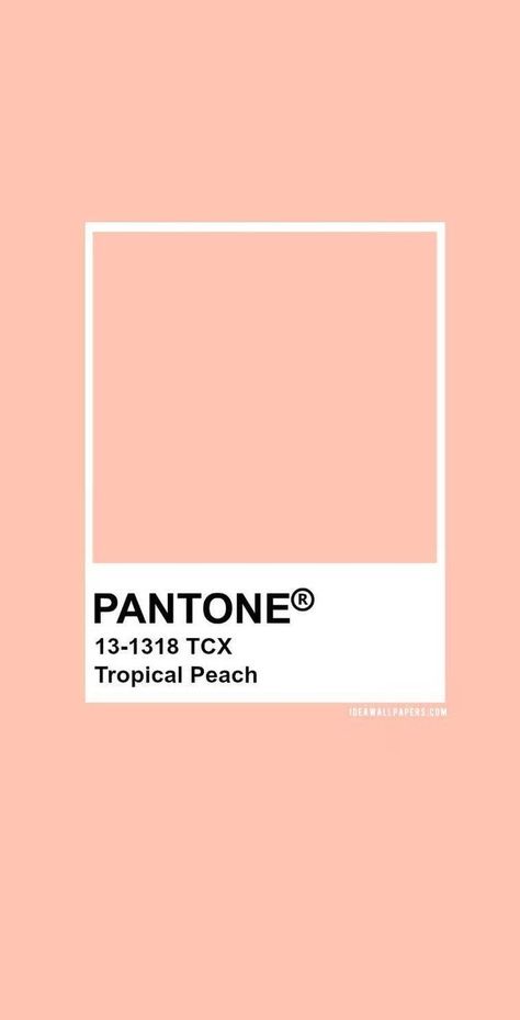 Geometric Iphone Wallpaper, Peach Pantone, Iphone Wallpaper Nature, Geometric Wallpaper Iphone, Peach Cottage, Color Durazno, Pantone Palette, Pantone Colour Palettes, Color Pantone