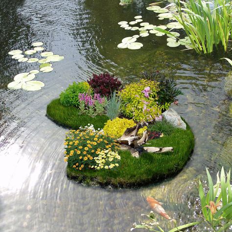 flower garden pictures | Floating Flower Gardens - The Green Head Flower Garden Pictures, Floating Flower, Floating Garden, Floating Island, Pond Water Features, Floating Plants, Pond Plants, Garden Shrubs, Floating Flowers