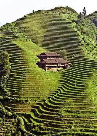 Terrace Farming, A Hill, China Travel, Bhutan, Alam Yang Indah, Pretty Places, Mongolia, Places Around The World, Beijing