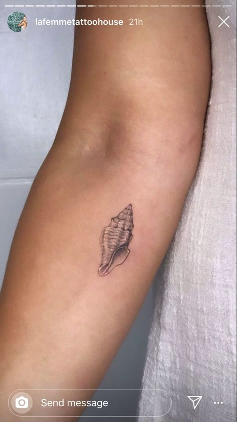 Seashell Tattoo Ideas, Simple Seashell Tattoo, Shell Tattoo Ideas, Conch Shell Tattoo, Tattoo Shell, Sea Shell Tattoo, Seashell Tattoo, Beachy Tattoos, Shell Tattoo