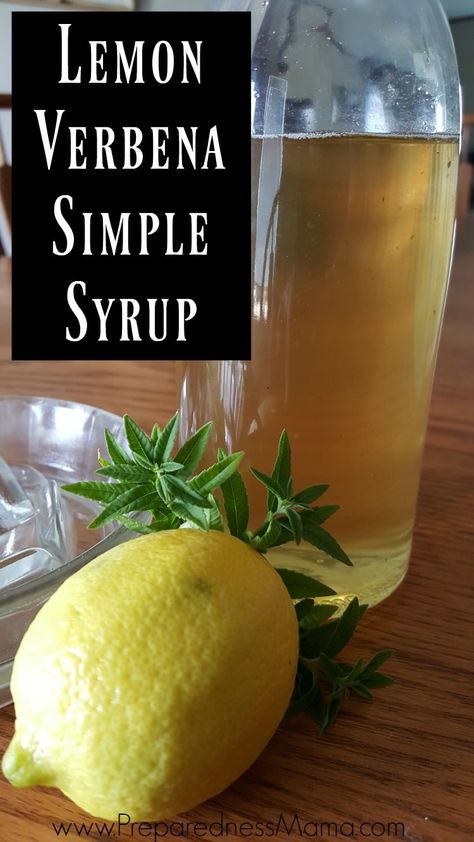 Lemon Verbena Simple Syrup - PreparednessMama Lemon Verbena Recipes, Simple Syrups, Syrup Recipes, Simple Syrup Recipes, Homemade Syrup, Lemon Drink, Herb Recipes, Herbal Recipes, Liquid Diet