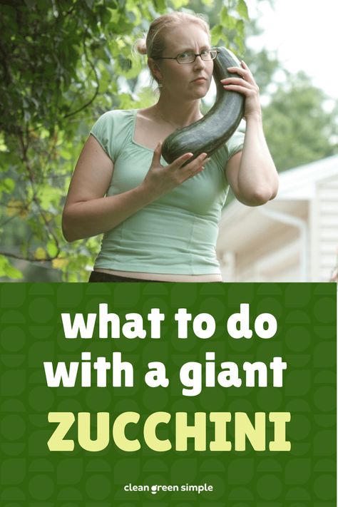 We’ve all been surprised by that oversized zucchini hiding in the garden. Before you toss yours into the compost heap, let us tell you about all the ways you can use giant zucchini in the kitchen. Zucchini Sides, Large Side Dishes, Large Zucchini Recipes, Veggies In Oven, Canned Zucchini, Easy Veg Recipes, Compost Heap, Beans Seeds, Freezing Zucchini