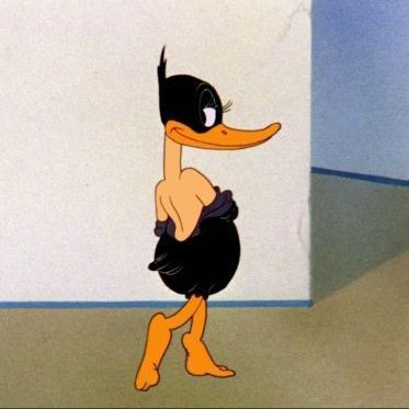 Black Duck, Meme Pics, Reaction Photos, Crazy Funny Pictures, Goofy Pictures, Daffy Duck, Funny Reaction, Mood Humor, Funny Picture