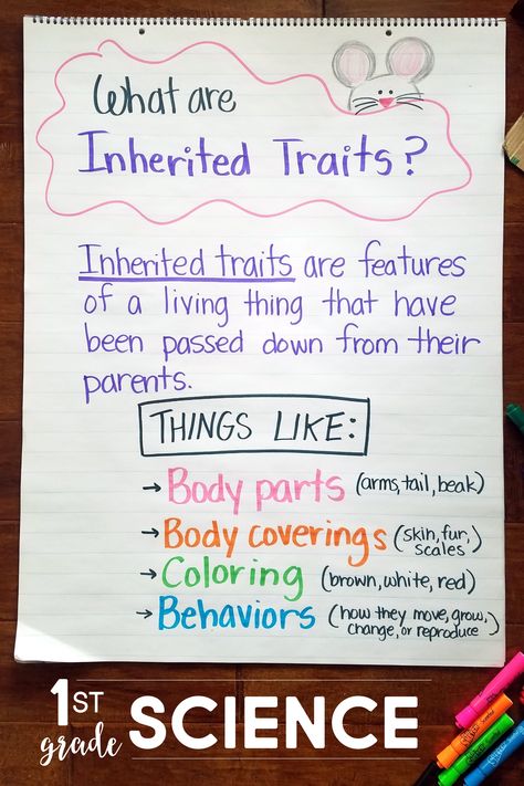 🦠1st grade SCIENCE TEACHERS🦠 Stuck on how to teach about Inherited Traits? This unit plan contains easy-prep, scripted lesson plans, with a PowerPoint and nonfiction read-aloud included with every lesson. Inherited Traits Activities, Inherited Traits 3rd Grade, Inherited Traits Anchor Chart, First Grade Science Experiments, 1st Grade Science Lessons, Living And Nonliving Things, Inherited Traits, Living And Nonliving, Science Stations