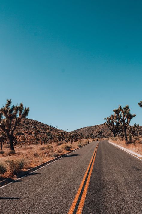 Western America, Road Texture, Desert Road, Texas Photography, Desert Dream, Western Landscape, Desert Life, Beautiful Roads, Cool Pictures Of Nature