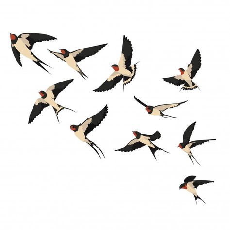 A flock of flying swallows. illustration... | Premium Vector #Freepik #vector #bird #animal #feather #illustration Craft Label, Flock Of Birds, Pola Sulam, Antique Home, Images Vintage, Art Et Illustration, Swallows, Bird Drawings, Bird Illustration