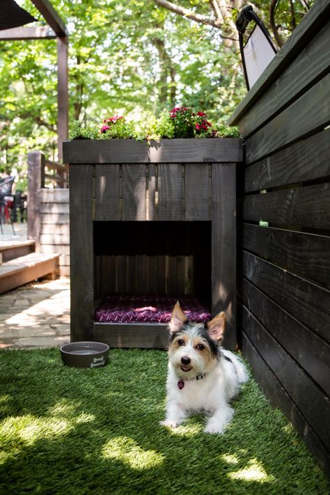 Side Yard Dog Run Ideas, Covered Dog Run Ideas Backyard, Covered Dog Run, Dog Side Yard, Dog Spaces Outdoor, Dog Rooms Ideas, Dog House Plans Insulated, Dog Run Ideas Backyard, Dog Run Side Yard