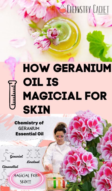 Essential Oils For Face, Aesthetic Dermatology, Rose Geranium Essential Oil, Essential Oil Mixes, Essential Oils For Skin, Geranium Oil, Essential Oil Benefits, Plant Therapy, Geranium Essential Oil