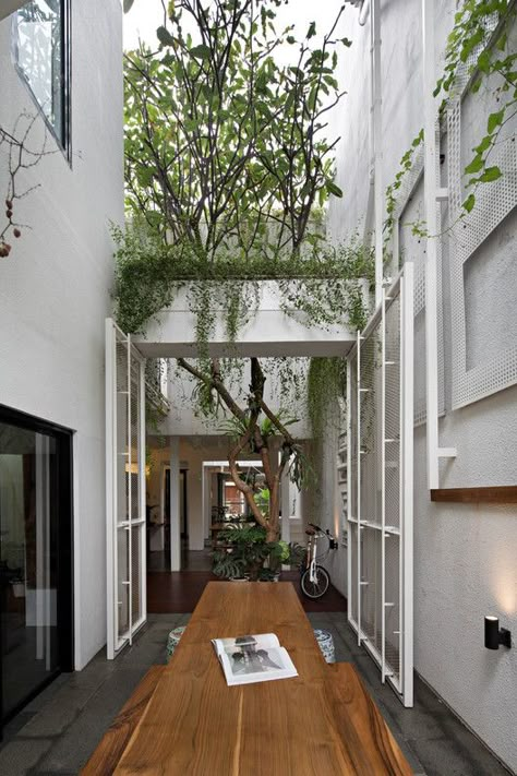 Compartment House / Studio SA_e | Netfloor USA Roof Garden Architecture, Green Roof House, Best Places To Shop, Sustainable Decor, Narrow House, House Studio, Patio Interior, Tropical House, Apartment House