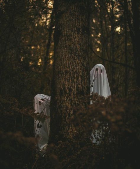 Ghost Theme Photoshoot, Funny Halloween Photos, Horror Family Photoshoot, Spooky Sister Photoshoot, Spooky Ghost Photoshoot, Ghost Bff Photoshoot, Halloween Reference Photos, Halloween Sheet Ghost Pictures, Funny Halloween Photoshoot